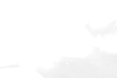 Capture01