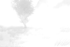 Capture03