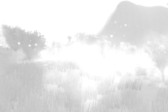 Capture04