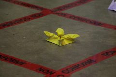 IMG_0829-scaled